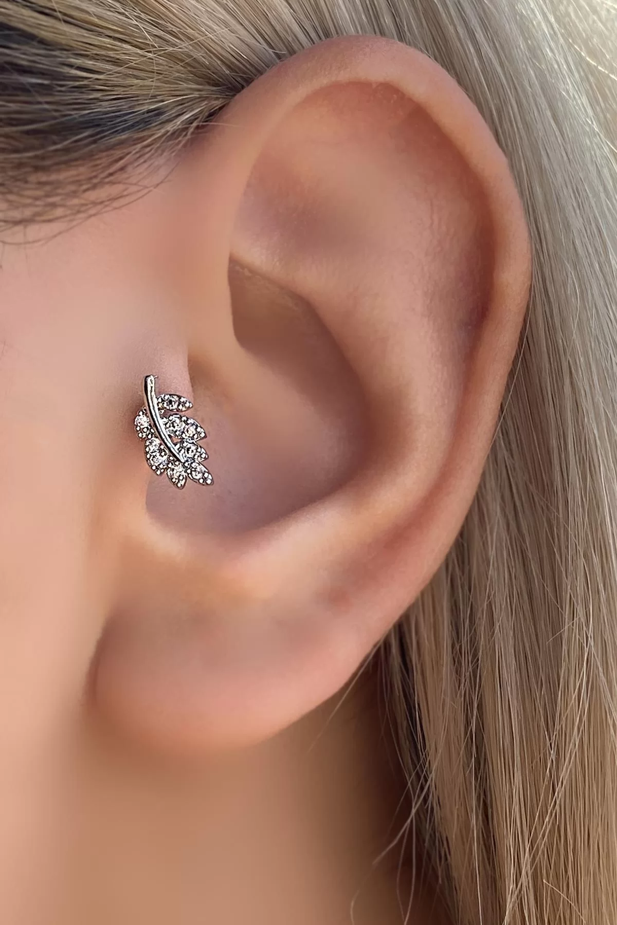 Gümüş Renk Cerrahi Çelik Yaprak Figürlü Tragus/Kıkırdak Küpe/Piercing (Tek)