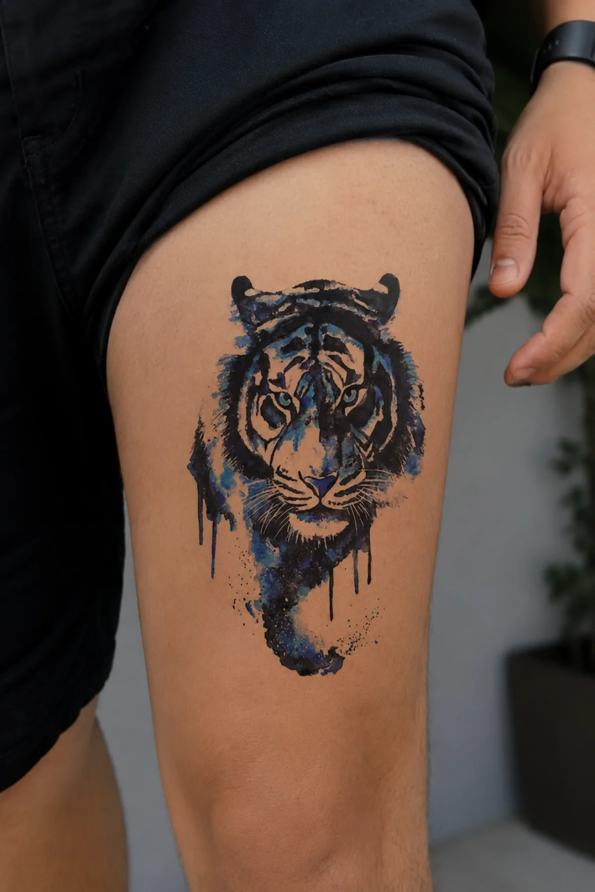 Mavili Kaplan Geçici Dövme Tattoo