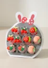 10lu Karışık Figürlü Mini Mandal Toka Set