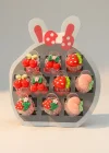 10lu Karışık Figürlü Mini Mandal Toka Set