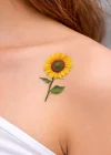 Geçici Papatya Figürlü Mini Dövme Tattoo