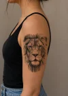 Aslan Geçici Dövme Tattoo