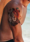 Aslan Geçici Dövme Tattoo