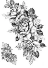 Geçici Gül Figürlü Dövme Tattoo