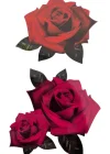 Geçici Gül Figürlü Mini Dövme Tattoo