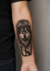 Kurt Dövme Geçici Tattoo
