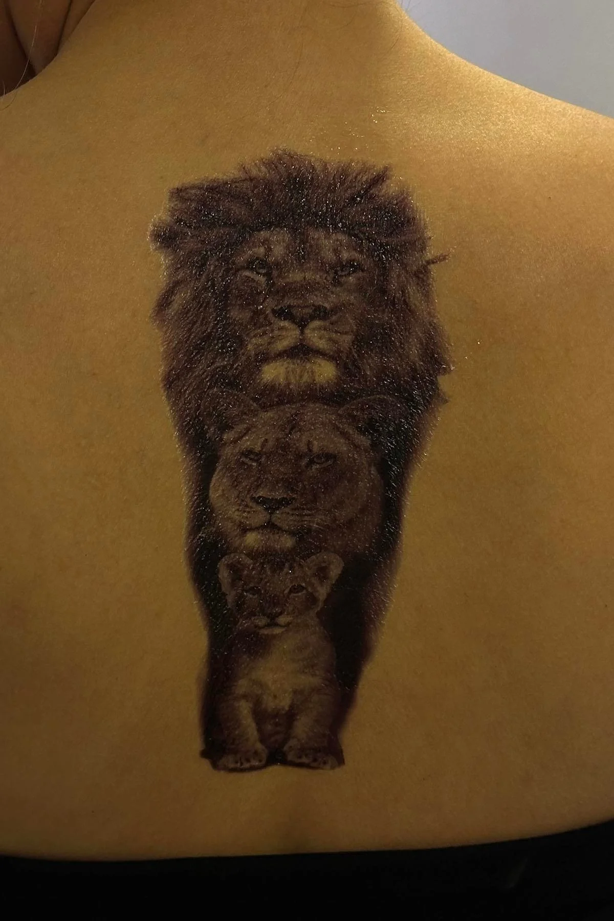 Geçici Aslan Figürlü Dövme Tattoo