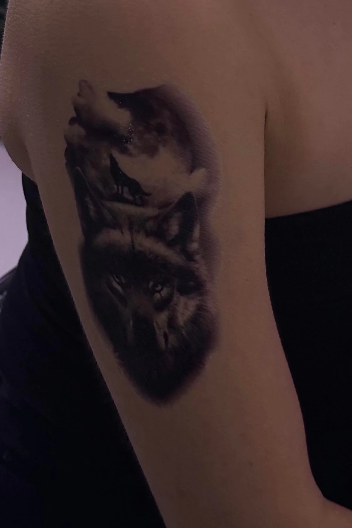 Geçici Kurt Figürlü Dövme Tattoo