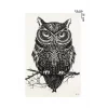 Geçici Baykuş Dövme Tattoo