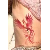 Geçici Kuş Figürlü Dövme Tattoo