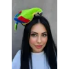 Karışık Renk Papağan Figürlü Taç