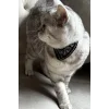 Siyah Renk Fularlı Kedi Tasması