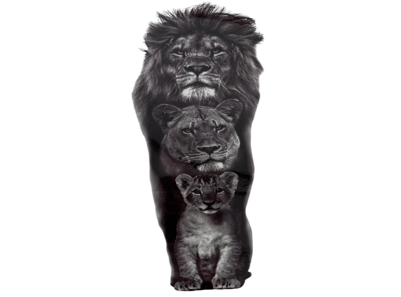 Geçici Aslan Figürlü Dövme Tattoo