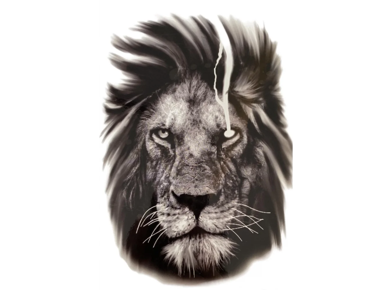 Geçici Aslan Figürlü Dövme Tattoo