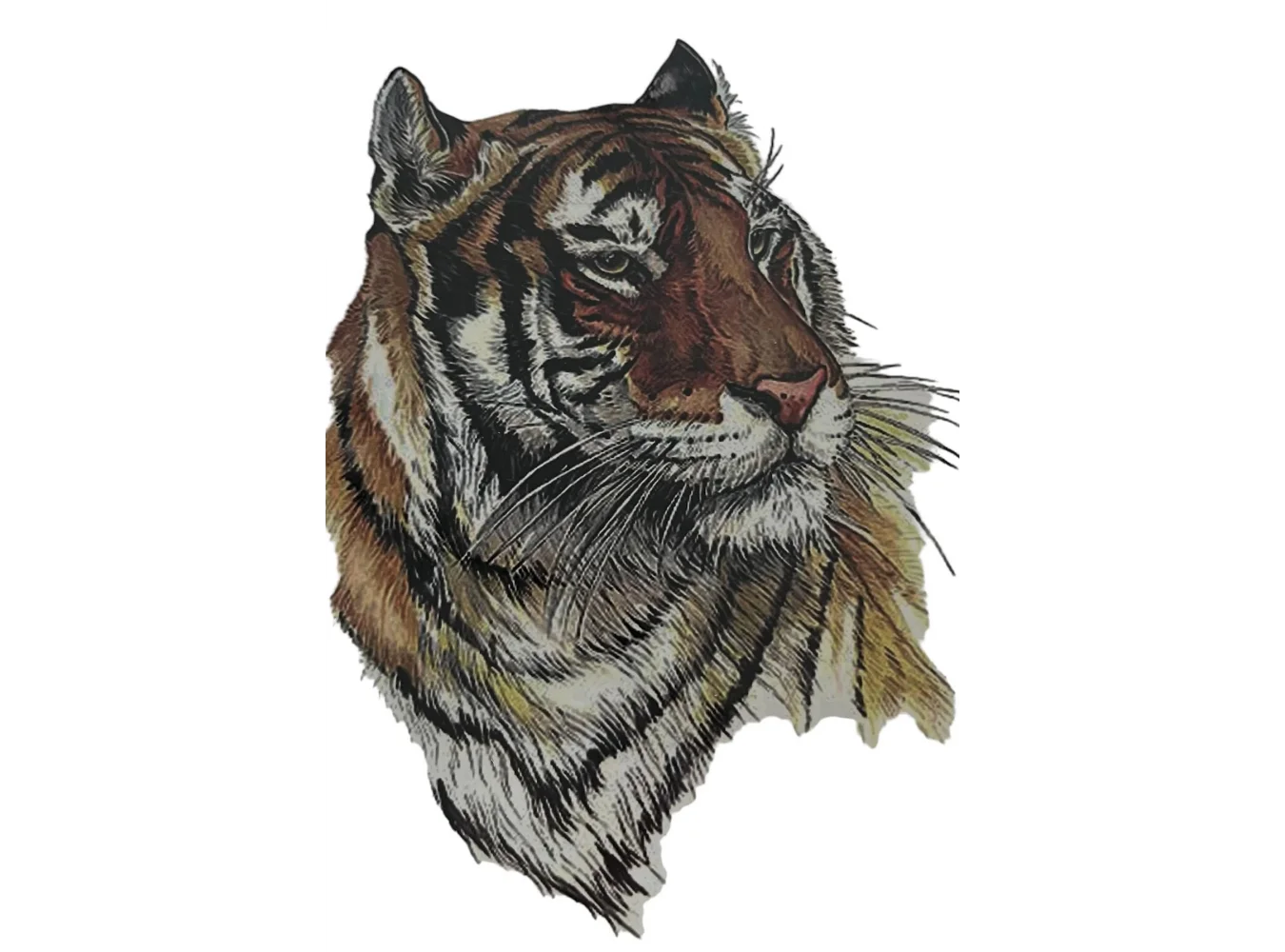 Geçici Kaplan Figürlü Dövme Tattoo