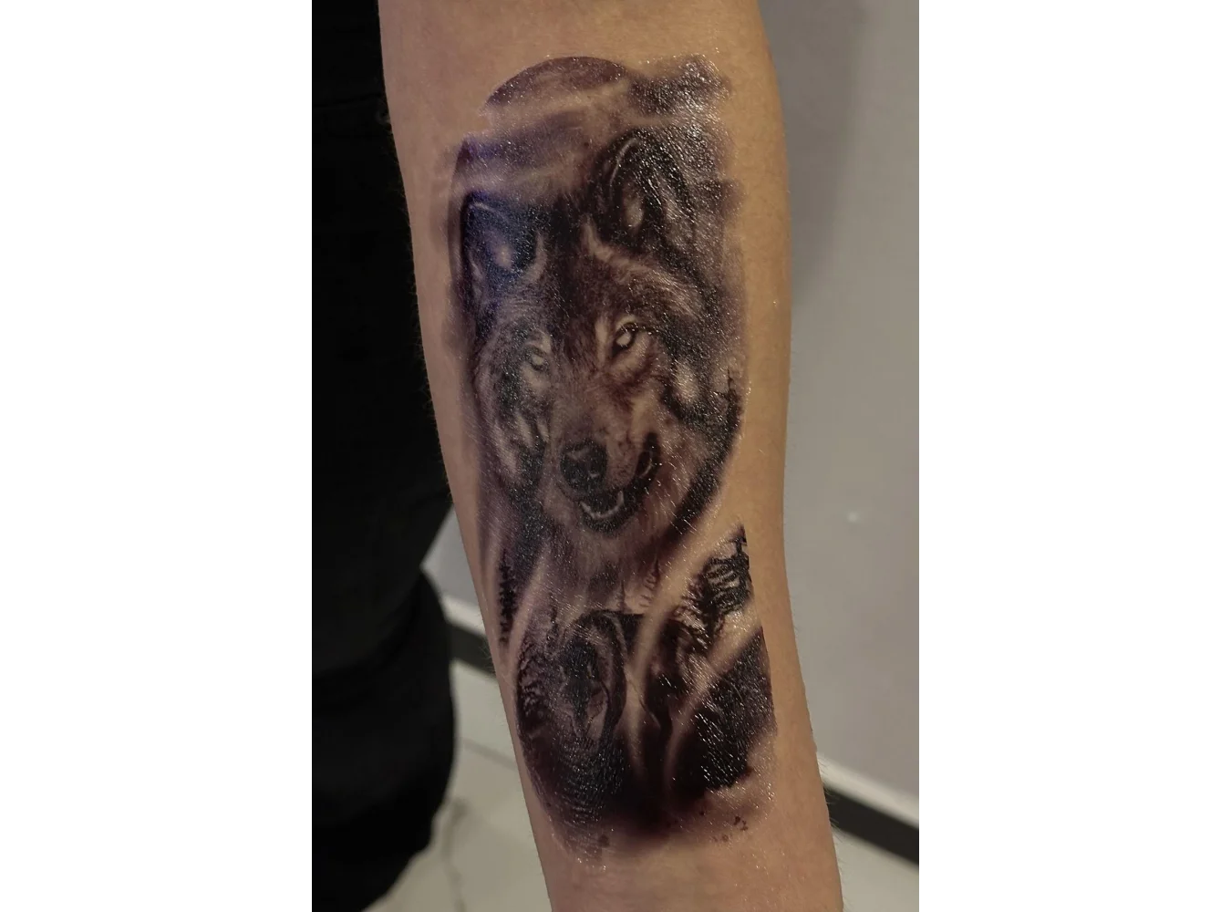 Geçici Kurt Figürlü Dövme Tattoo