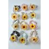 12li Karışık Renk Papatya Figürlü Lastik Toka Set