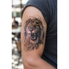 Geçici Aslan Figürlü Dövme Tattoo