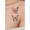 Geçici Kelebek Figürlü Mini Dövme Tattoo