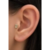 Altın Renk Ayıcık Figürlü  Taşlı Cerrahi Çelik Tragus/Kıkırdak Küpe/Piercing (Tek)