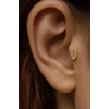 Altın Renk Kalp Figürlü Cerrahi Çelik Tragus/Kıkırdak Küpe/Piercing (Tek)