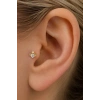 Altın Renk Kalp Figürlü  Taşlı Cerrahi Çelik Tragus/Kıkırdak Küpe/Piercing (Tek)