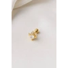 Altın Renk Kalp Figürlü  Taşlı Cerrahi Çelik Tragus/Kıkırdak Küpe/Piercing (Tek)