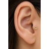 Altın   Renk Kurdele Figürlü  Taşlı Cerrahi Çelik Tragus/Kıkırdak Küpe/Piercing (Tek)