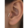 Altın Renk Yıldız Figürlü  Cerrahi Çelik Tragus/Kıkırdak Küpe/Piercing (Tek)