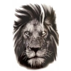 Geçici Aslan Figürlü Dövme Tattoo