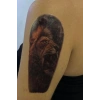 Geçici Aslan Figürlü Dövme Tattoo