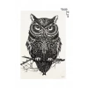 Geçici Baykuş Dövme Tattoo