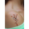 Geçici Çiçek ve Kelebek Mini Dövme Tattoo