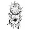 Geçici Gül Ve Saat Figürlü Mini Dövme Tattoo