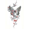 Geçici Kelebek Figürlü Dövme Tattoo