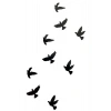 Uçan Kuşlar Mini Geçici Dövme Tattoo