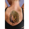 Geçici Tavuskuşu Dövme Tattoo