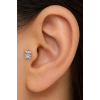Gümüş  Renk Ayıcık Figürlü   Taşlı Cerrahi Çelik Tragus/Kıkırdak Küpe/Piercing (Tek)