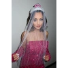 Gümüş Renk Bride To Be Duvak Detaylı Tarak Taç