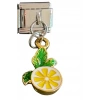 Gümüş Ve Altın Renk Limon Figürlü  Çelik Nomination Charm (Tek)