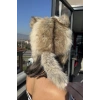 Kahverengi Kurt Detaylı Peluş Şapka