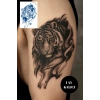 Kaplan Figürlü Sonradan Kararan Yarı Kalıcı Geçici Dövme Tattoo
