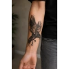 Karga Geçici Dövme Tattoo