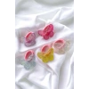 Karışık Renk 5li Kelebek Lastik Toka Set