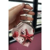 Karışık Renk Deniz Yıldız Figürlü Cüzdan/Anahtarlık