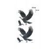 Kartal Dövme Geçici Tattoo