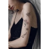 Keman Gül Tilki ve Motifli Geçici Dövme Tattoo