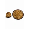 Leopar  Desenli Katlanabilir Yelpaze