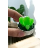 Yeşil Renk Kaktüs Figürlü Mum