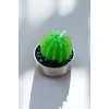 Yeşil Renk Kaktüs Figürlü Mum